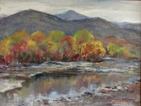 Փոքրիկ լճակ, 55x65, կտ.,-յուղ., 1999թ., գինը՝ 600 պ.մ.